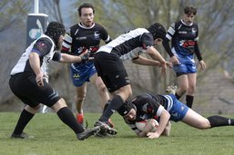 Rugby: Fribourg gagne facilement contre Monthey