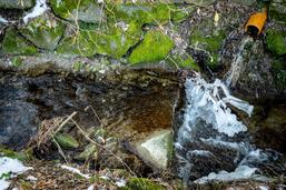 Des eaux contaminées se sont déversées dans le Gottéron à Saint-Ours