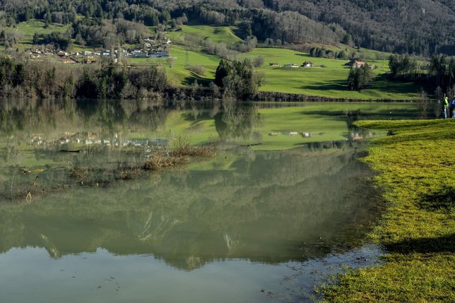 Suspicion de cyanobactéries dans le lac de la Gruyère, à Gumefens