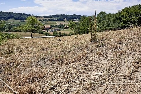 Le Canton de Fribourg encourage financièrement les exploitations agricoles pour faire face au changement climatique