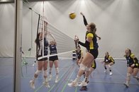 Volleyball: ouverture des feux pour les équipes fribourgeoises de 1ère ligue