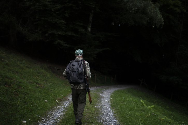 Pour l'aider dans sa chasse au loup, le canton du Valais fait appel à des chasseurs qui ont dû suivre une formation spécifique (image d'illustration). © KEYSTONE/GIAN EHRENZELLER