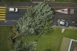 Les records météo ont été nombreux en 2023