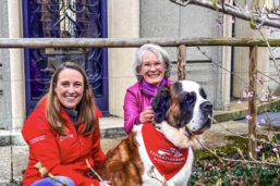 Première suisse: Des chiens intègrent l’Université de Fribourg pour apaiser les étudiants