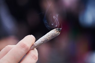 Feu vert du Bundestag à la légalisation du cannabis récréatif