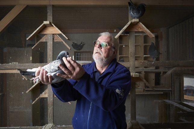 Vers-chez-Perrin: Une vie consacrée aux pigeons