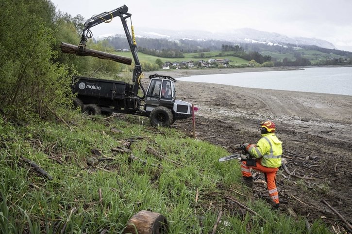 Lac de la Gruyère: Groupe E en pleine valorisation du bois échoué