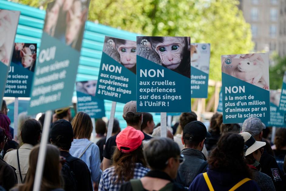 300 personnes manifestent contre l'expérimentation animale à Fribourg